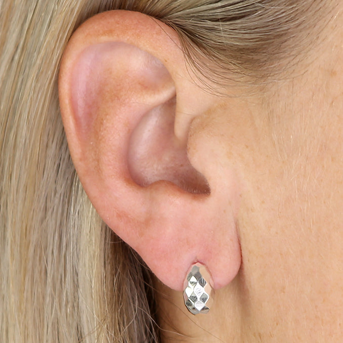Sterling Silver Faceted Stud Earrings