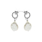 Coin Freshwater Pearl Rope Stud Earrings